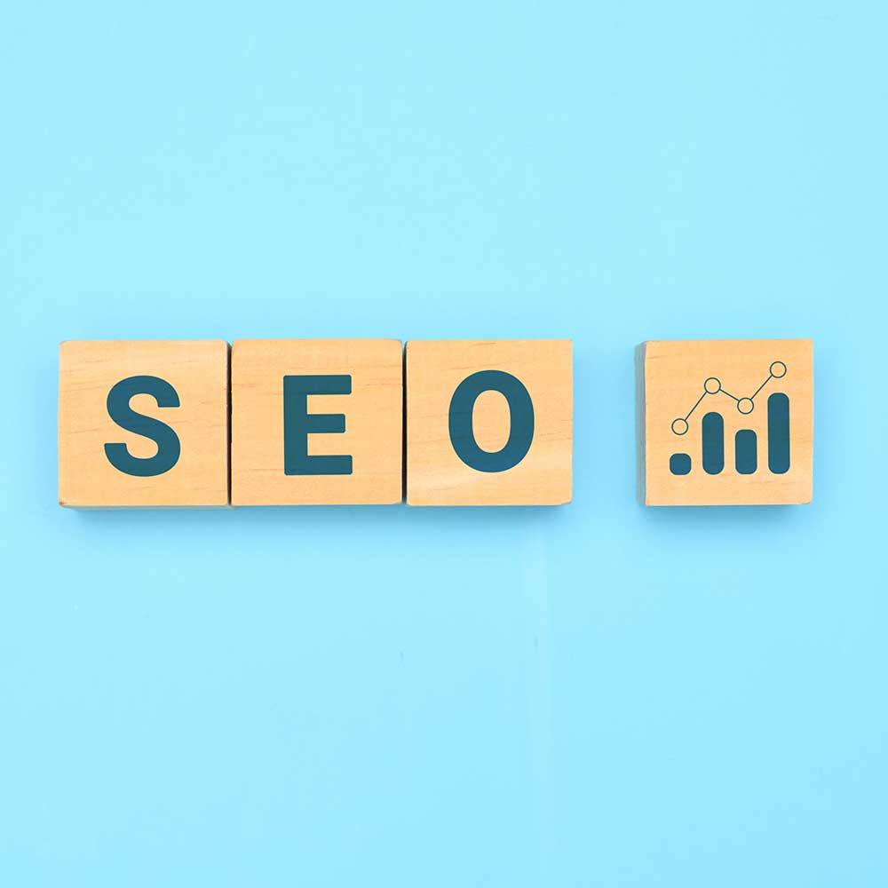 SEO Monthly Package (Level 2)