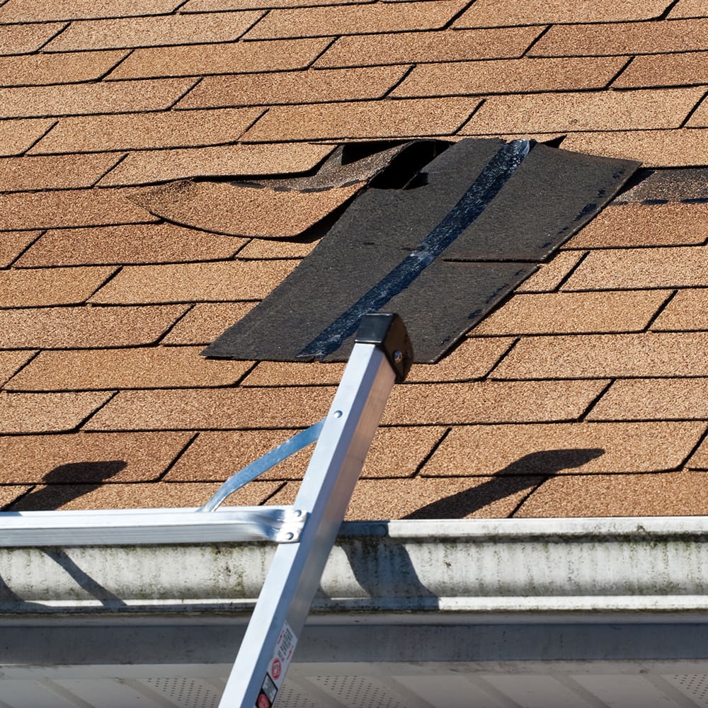 Should You Repair or Replace Your Roof