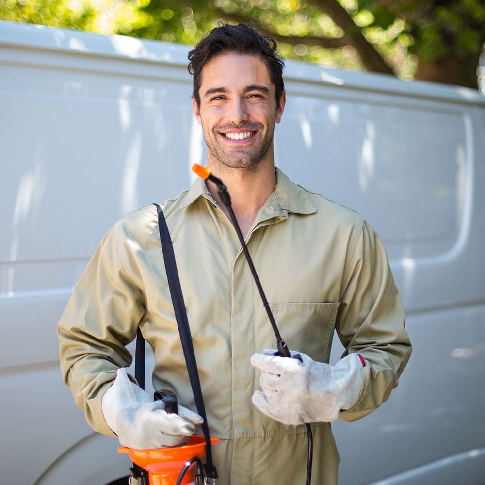Pest control treatment for a home