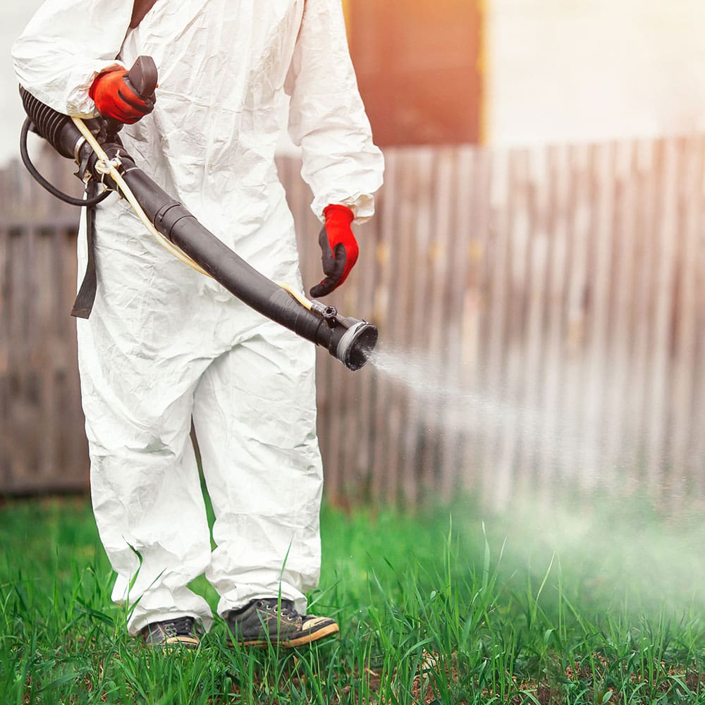 Technician spraying a residential yard for mosquito control