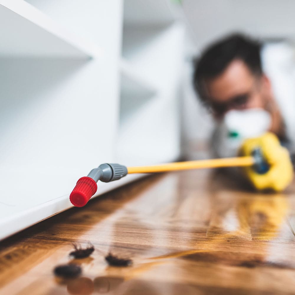 Pest control technician treating a home for insects and rodents